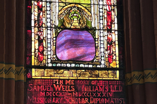 A close-up of a stained glass window showing the details on the face of a turtle.