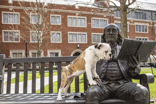 A statue of Ben Franklin outside his namesake college, with Handsome Dan climbing on him.